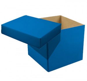 boxlid1 boxlid1